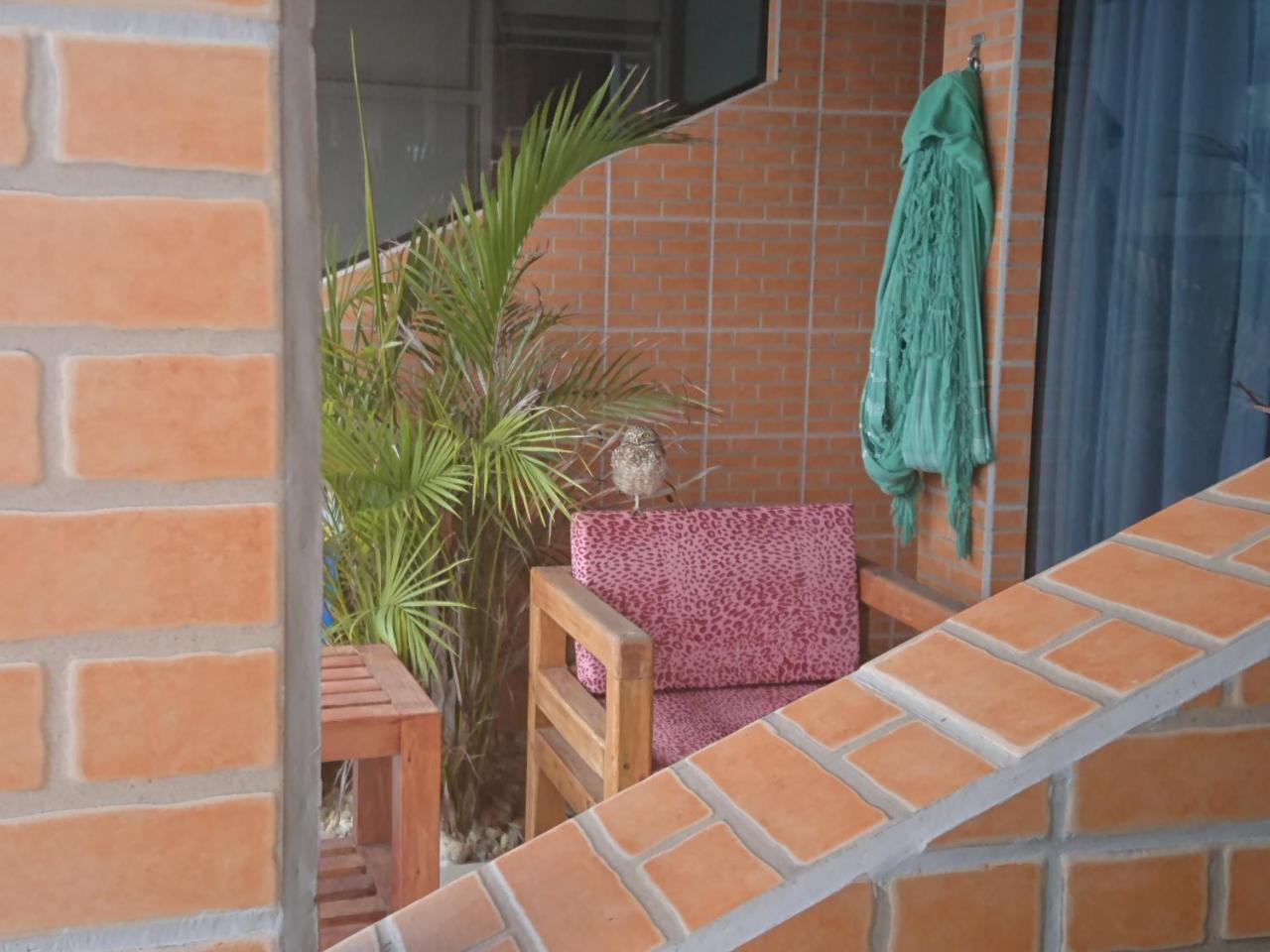 Pousada Suites Do Santinho Florianopolis Bagian luar foto